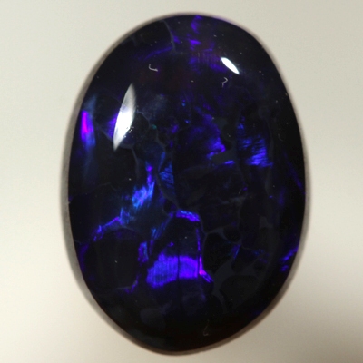 SOLID BLACK OPAL Royal blue fire. SEE VIDEO
